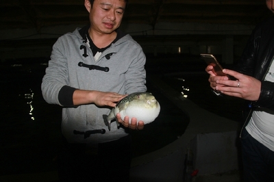 大連啟航“海魚陸?zhàn)B”保險，海水養(yǎng)殖技術(shù)研發(fā)迎來新機遇