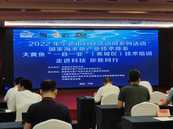 寧德聚力大黃魚“一縣一業” 技術培訓與研發雙輪驅動，引領海水養殖新篇章